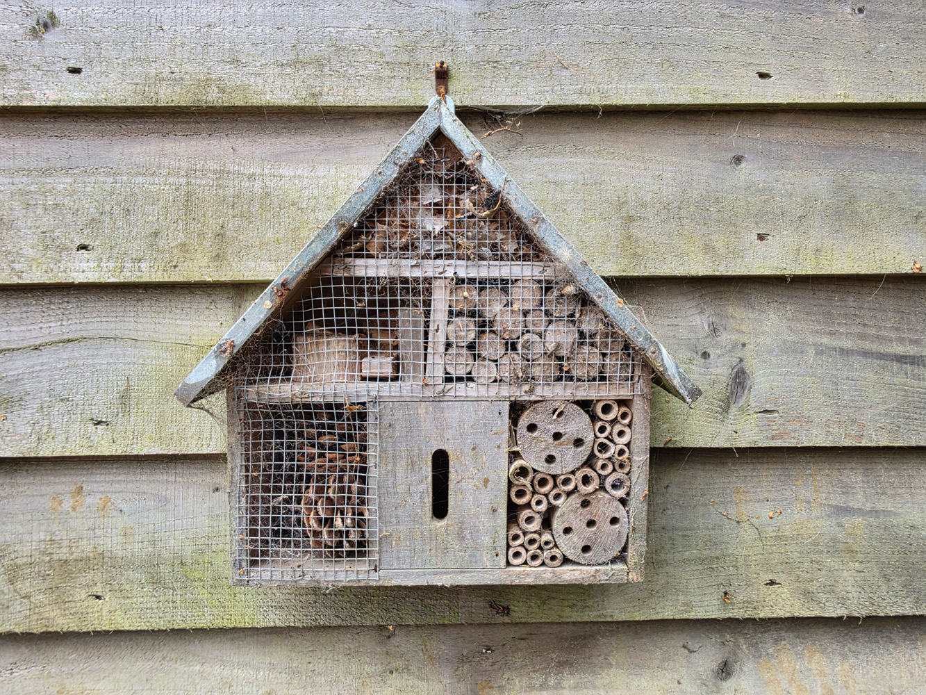 Samsung Galaxy Z Fold8 camera samples bee hotel